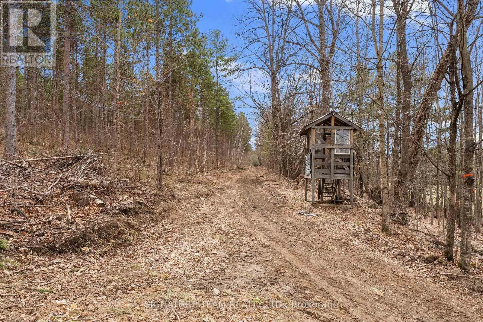 359 DITTBURNER ROAD