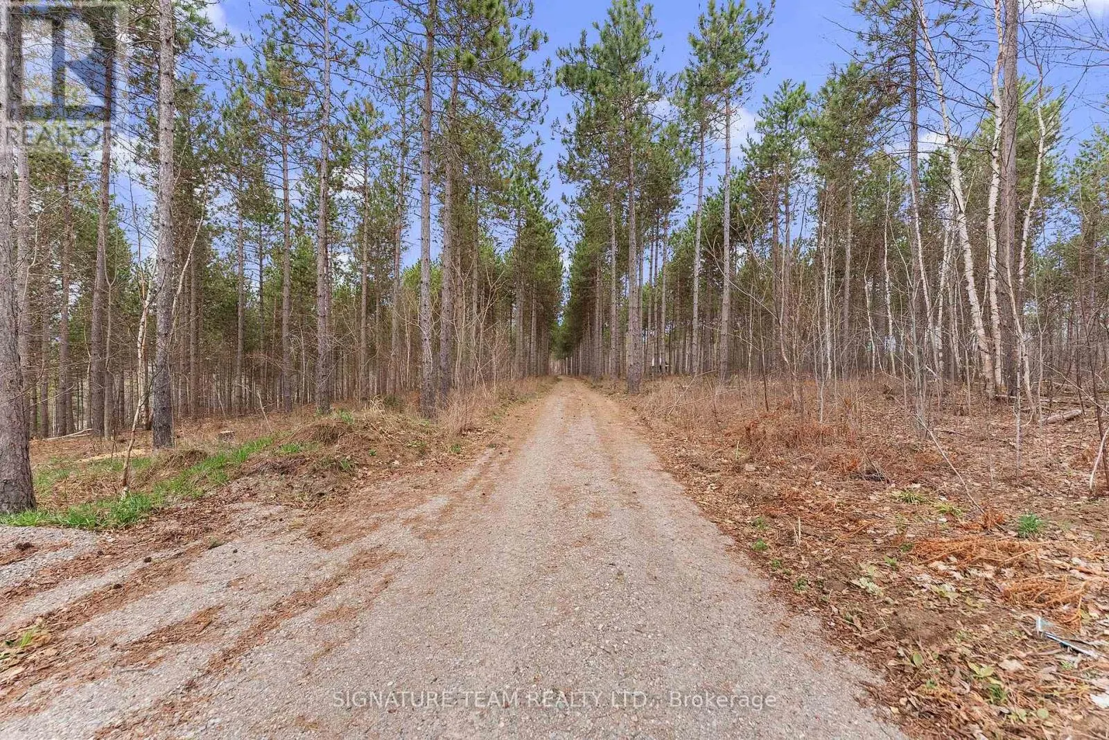 359 DITTBURNER ROAD