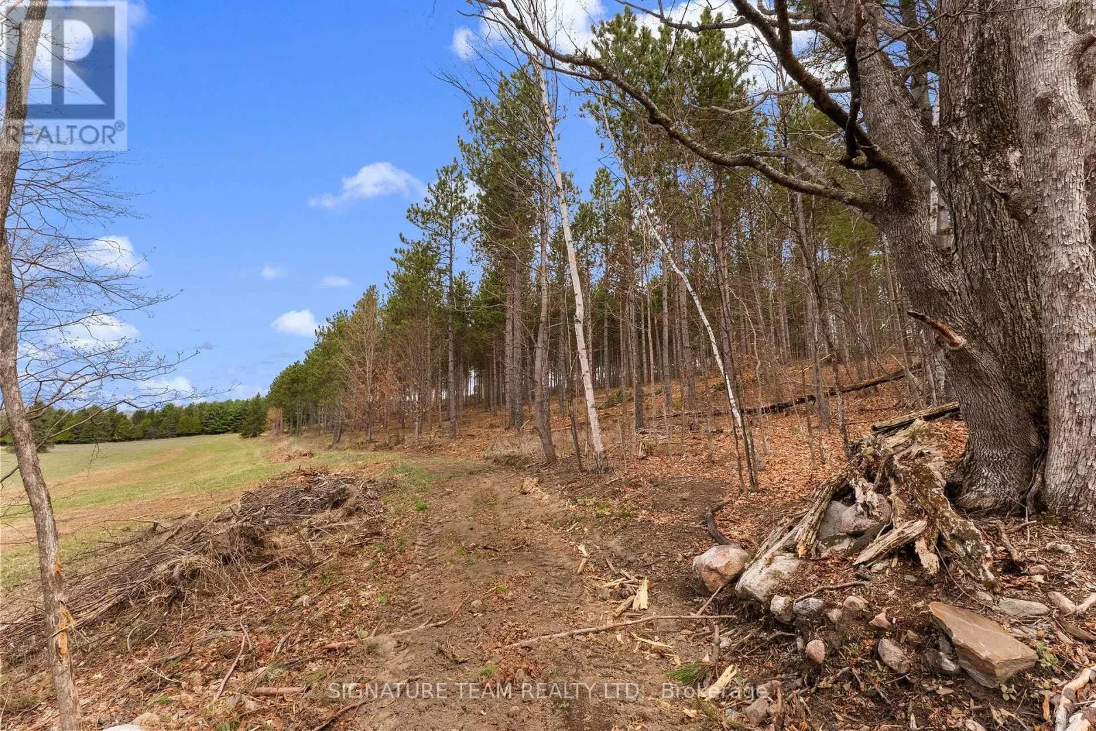 359 DITTBURNER ROAD