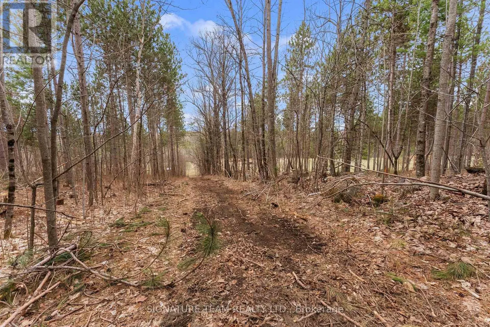 359 DITTBURNER ROAD