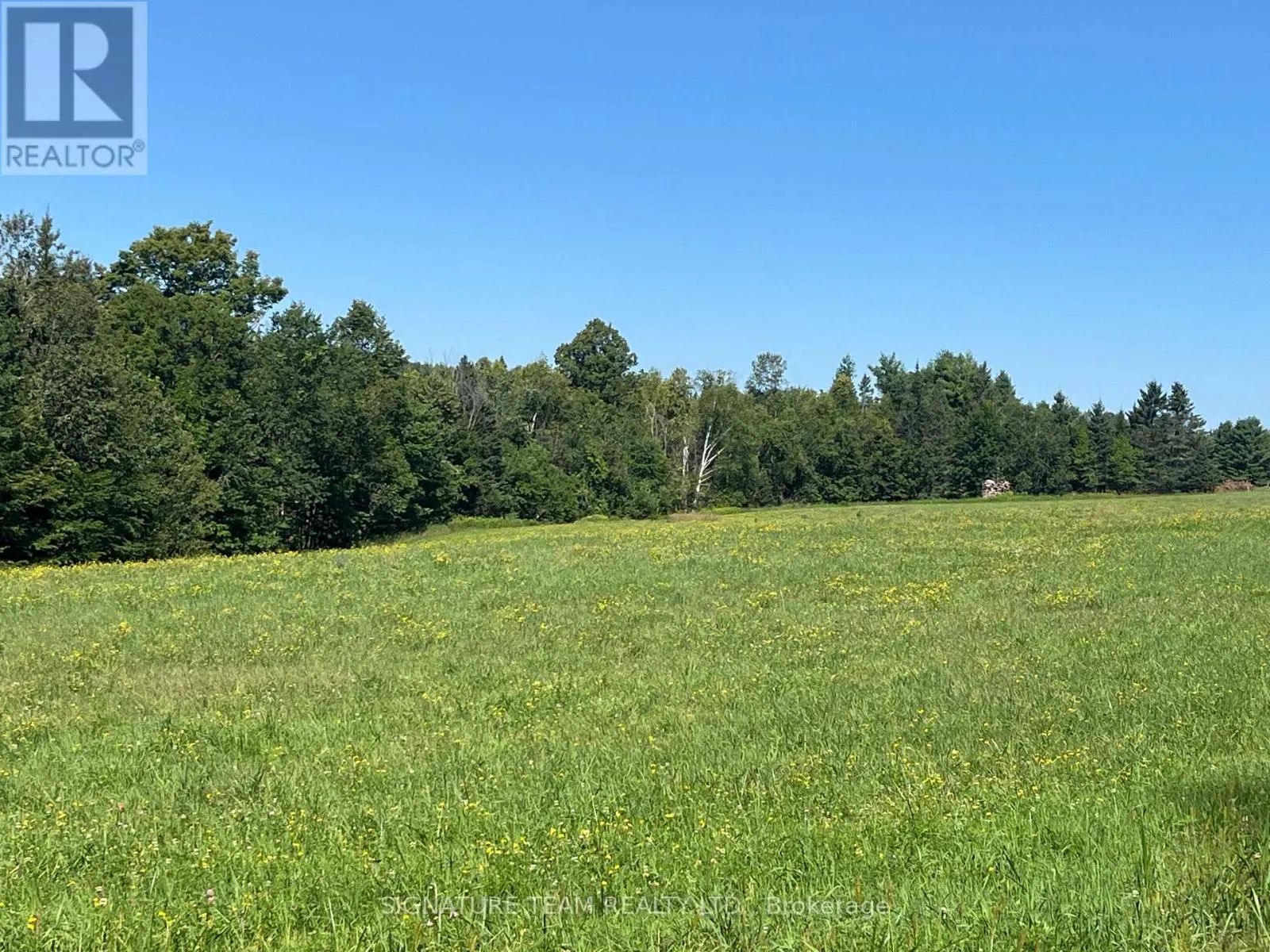 359 DITTBURNER ROAD