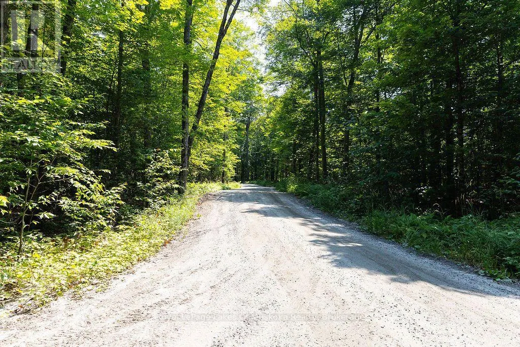 LOT #15 - 101 GRYFFIN BLUFFS LANE #Lot #15