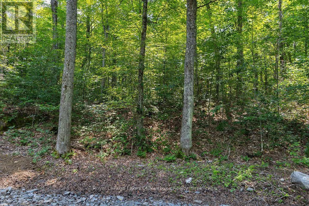 LOT #15 - 101 GRYFFIN BLUFFS LANE #Lot #15