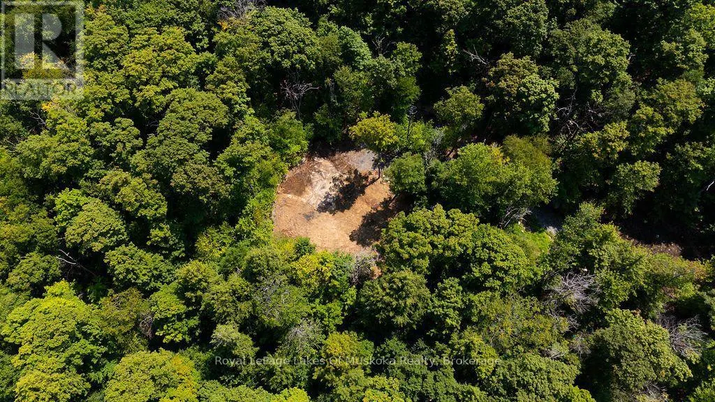 LOT #15 - 101 GRYFFIN BLUFFS LANE #Lot #15