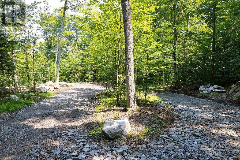 LOT #15 - 101 GRYFFIN BLUFFS LANE #Lot #15