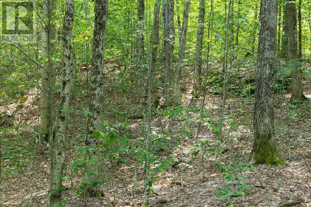 LOT #15 - 101 GRYFFIN BLUFFS LANE #Lot #15