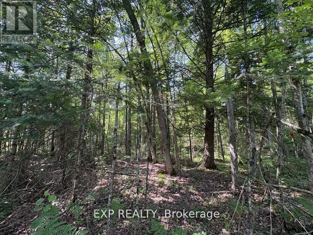 1 LOT 1 CONCESSION 2 PART 4 BOUNDARY CONCESSION