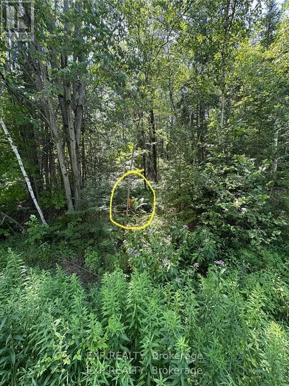 1 LOT 1 CONCESSION 2 PART 4 BOUNDARY CONCESSION