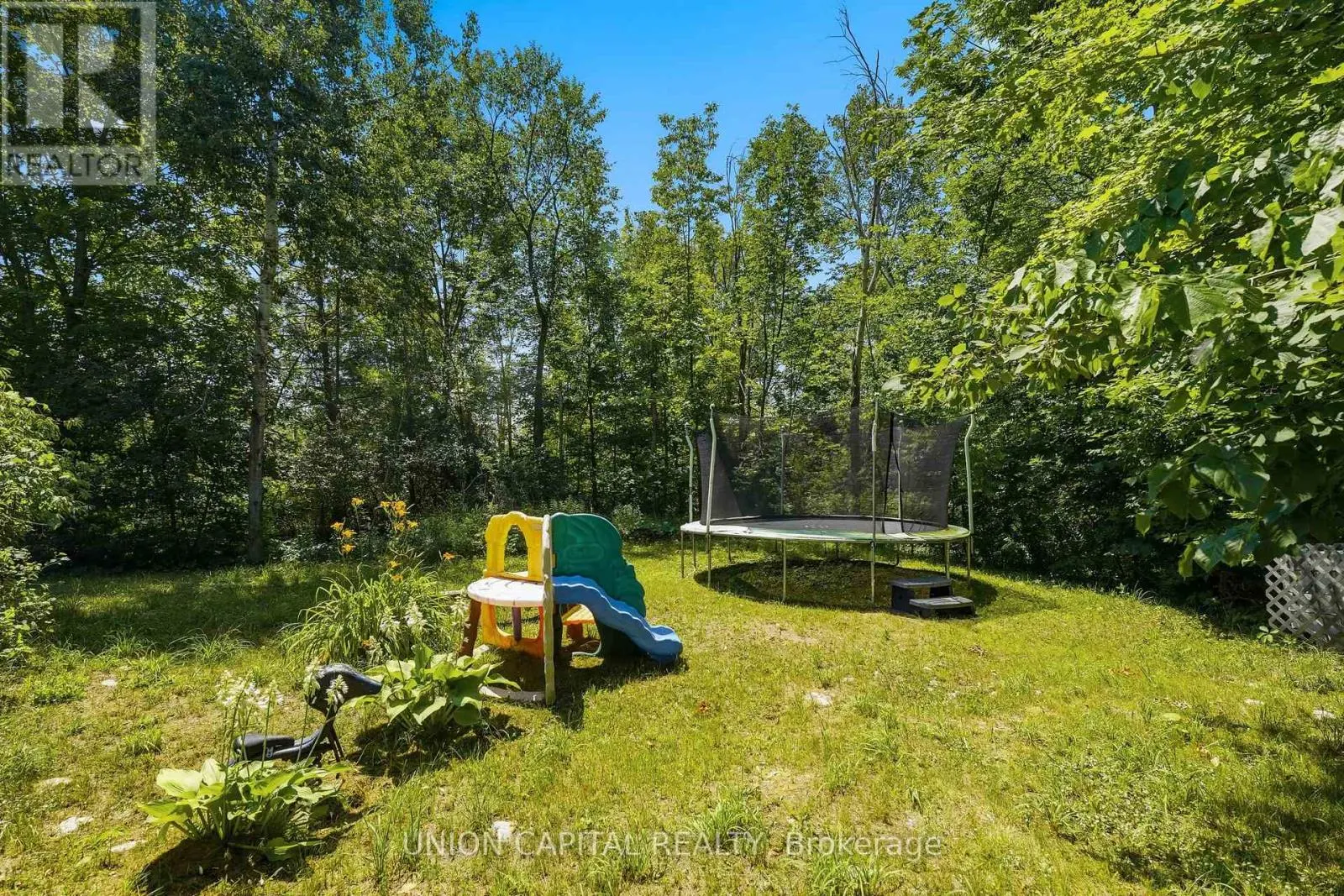 755 SCOTCH SETTLEMENT ROAD