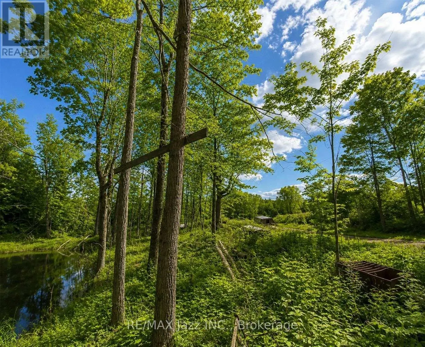 1091A CRYSTAL LAKE ROAD