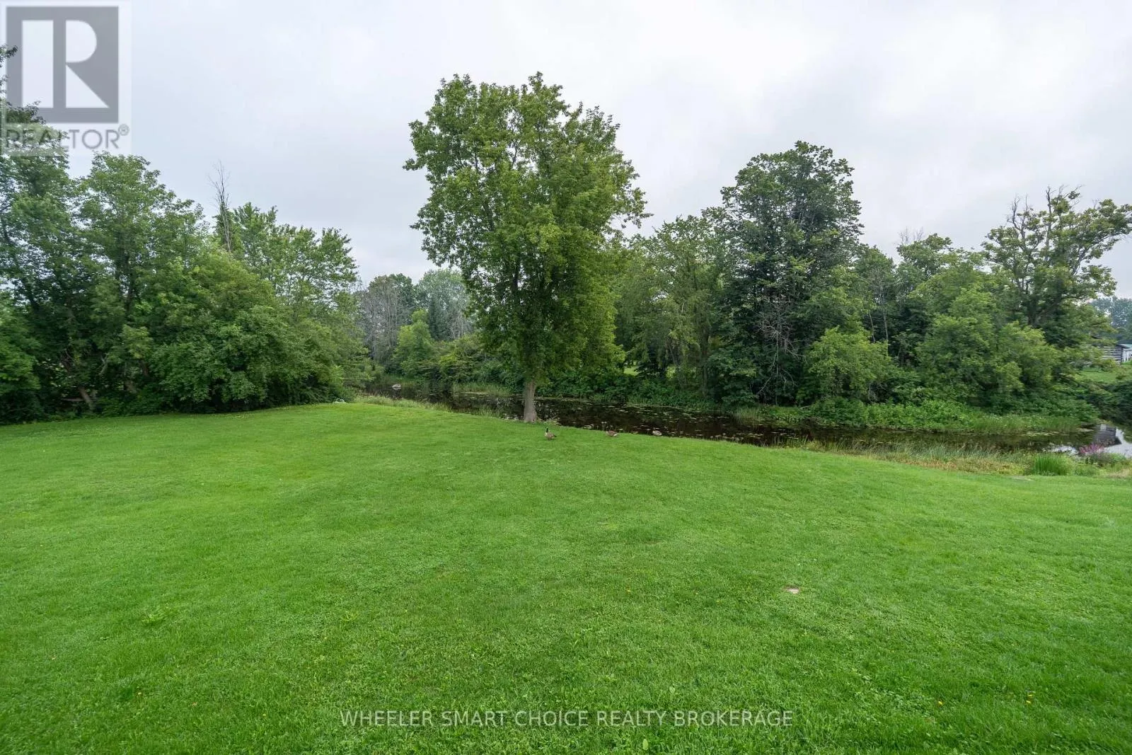 17295 COUNTY RD 18 ROAD