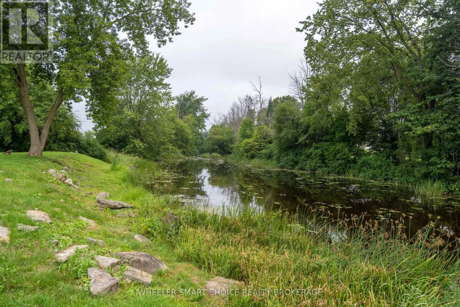 17295 COUNTY RD 18 ROAD