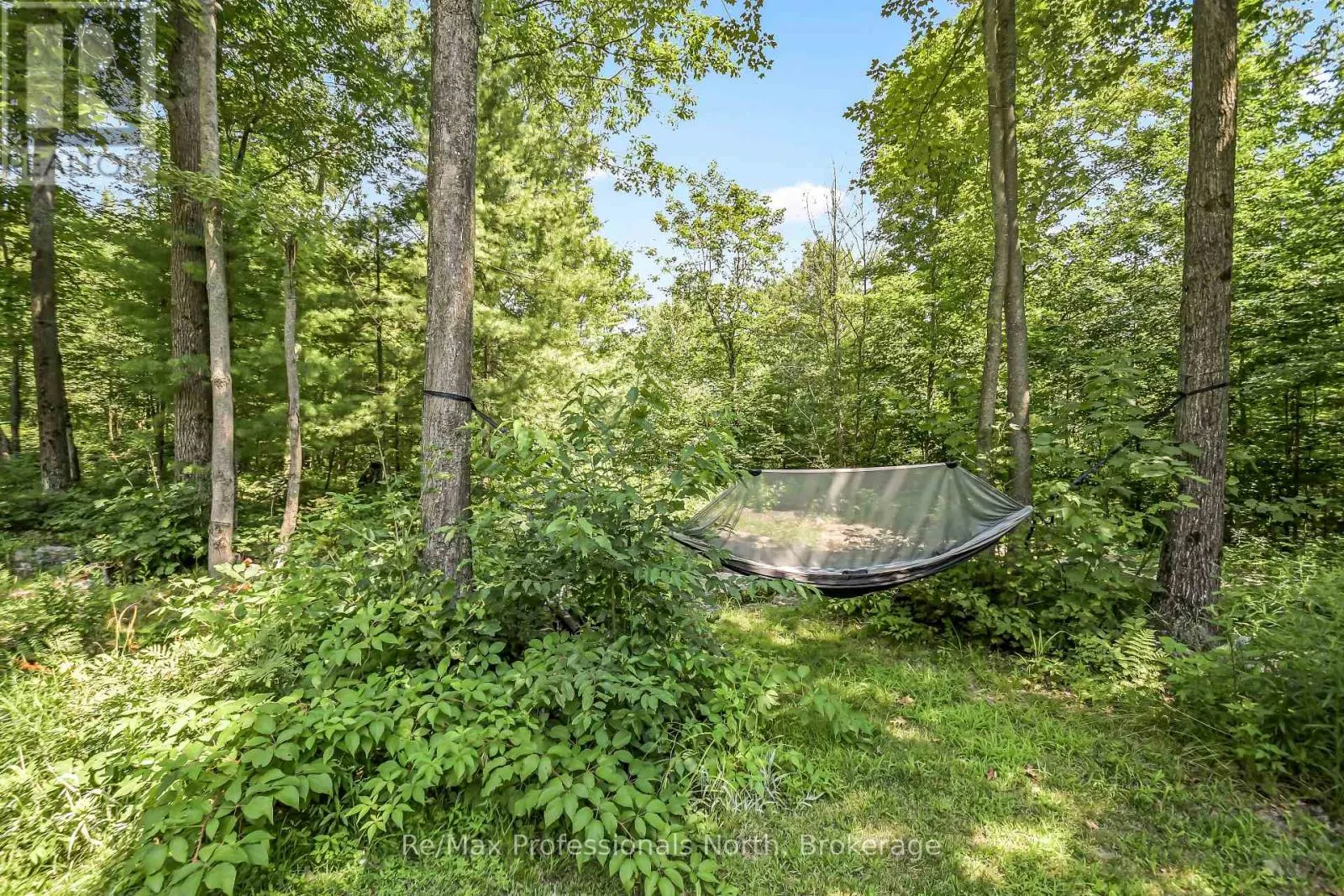 1017 BARLOCHAN ROAD