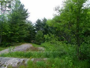50 ACRES IN MUSKOKA NORTH OF BALA - PCL 31045