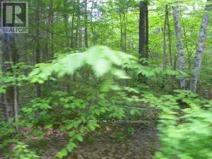 50 ACRES IN MUSKOKA NORTH OF BALA - PCL 31045