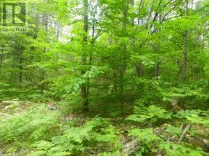 50 ACRES IN MUSKOKA NORTH OF BALA - PCL 31045