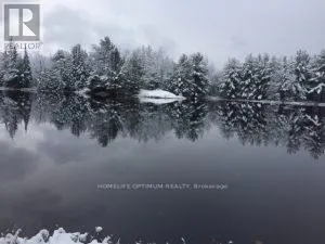 50 ACRES IN MUSKOKA NORTH OF BALA - PCL 31045
