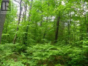 50 ACRES IN MUSKOKA NORTH OF BALA - PCL 31045