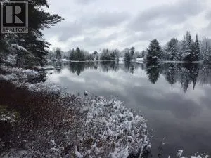50 ACRES IN MUSKOKA NORTH OF BALA - PCL 31045