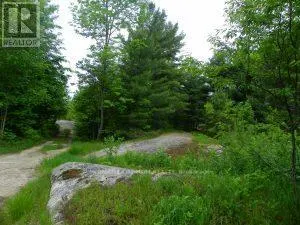 50 ACRES IN MUSKOKA NORTH OF BALA - PCL 31045