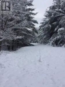 50 ACRES IN MUSKOKA NORTH OF BALA - PCL 31045