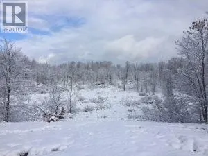 50 ACRES IN MUSKOKA NORTH OF BALA - PCL 31045