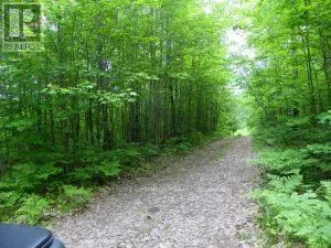 50 ACRES IN MUSKOKA NORTH OF BALA - PCL 31045