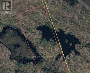 50 ACRES IN MUSKOKA NORTH OF BALA - PCL 31045