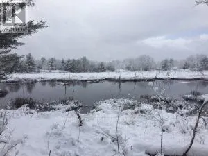 50 ACRES IN MUSKOKA NORTH OF BALA - PCL 31045