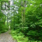 50 ACRES IN MUSKOKA NORTH OF BALA - PCL 31045