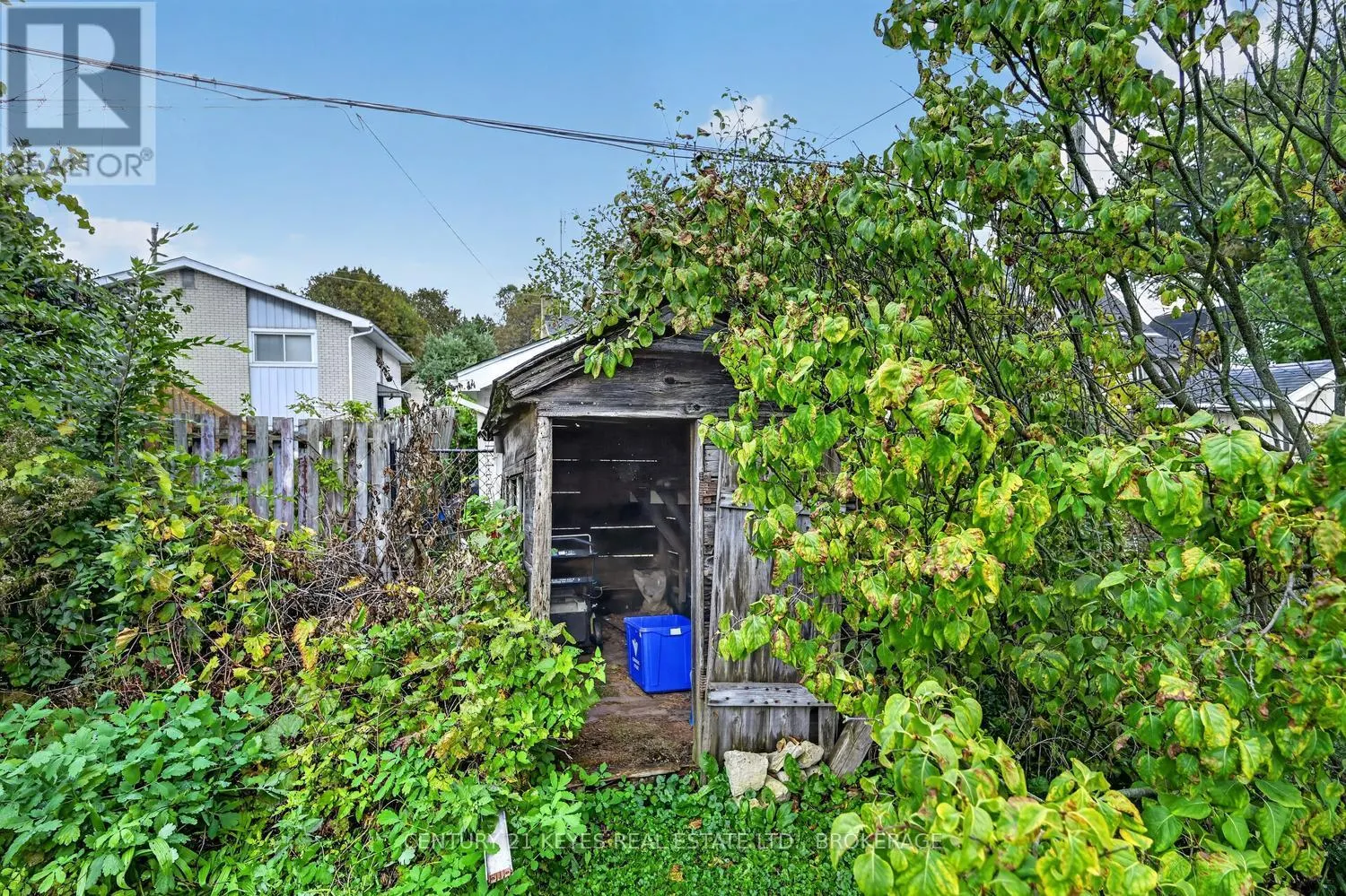 39 AMY STREET