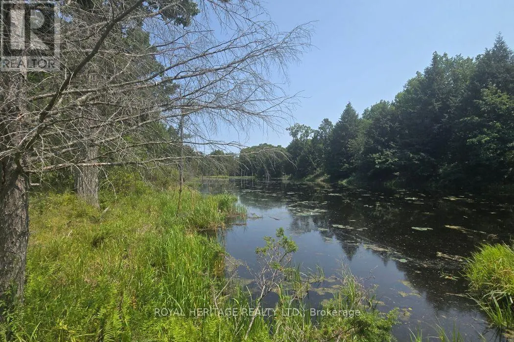 1590 ELM TREE ROAD