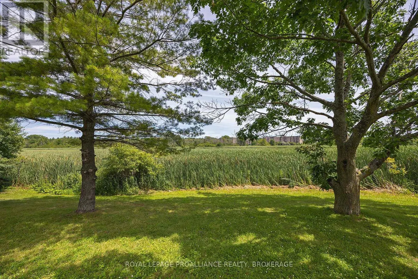 201 - 580 ARMSTRONG ROAD #201