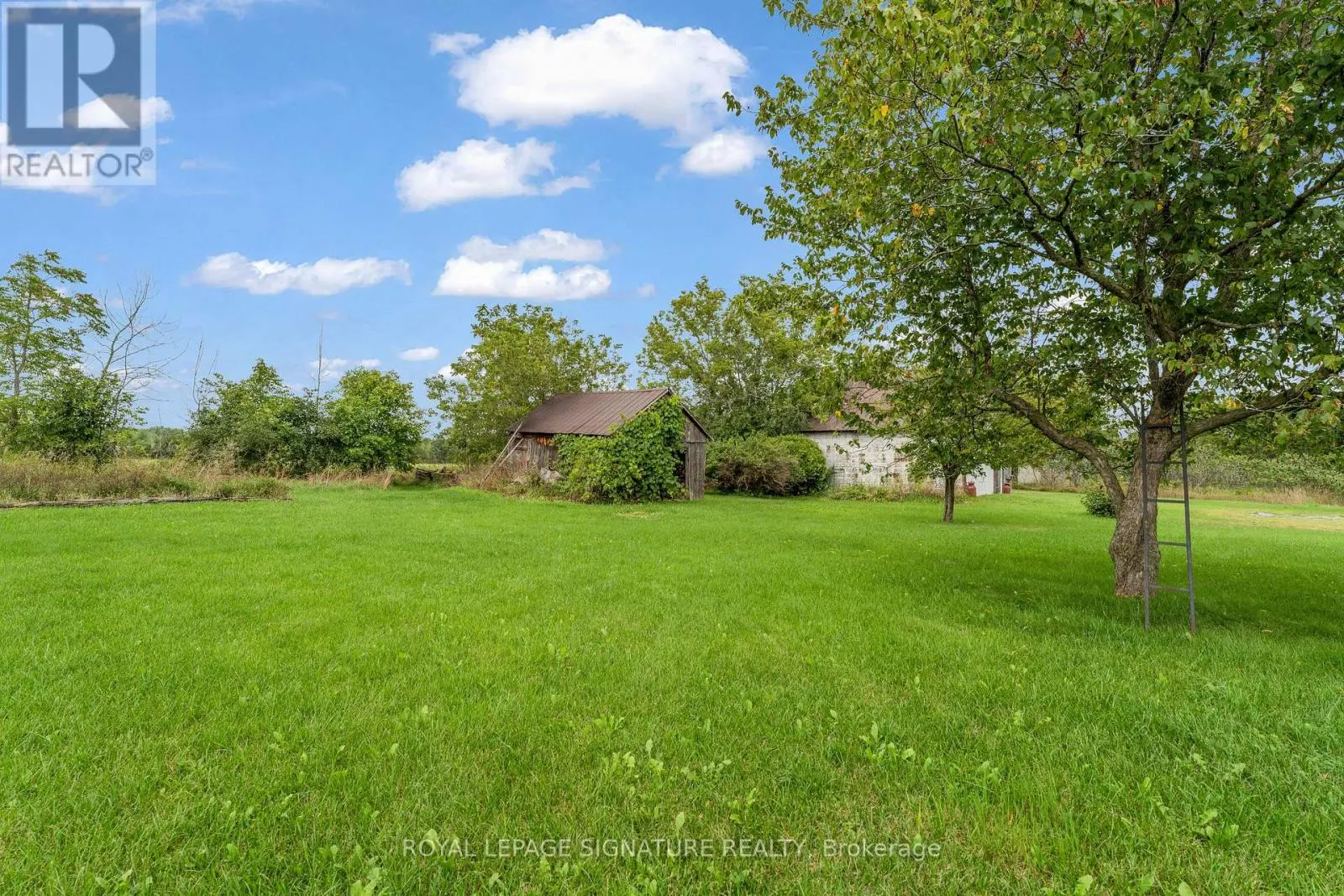 6508 COUNTY ROAD 9