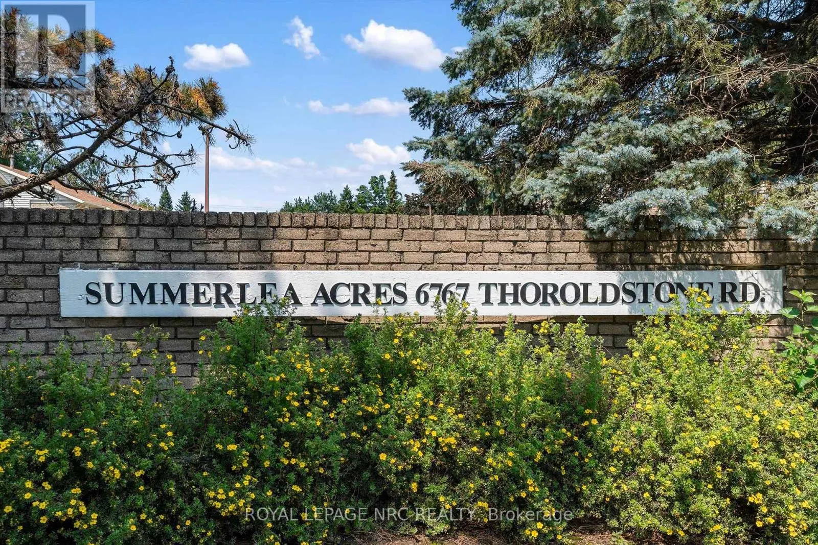 6 - 6767 THOROLD STONE ROAD #6