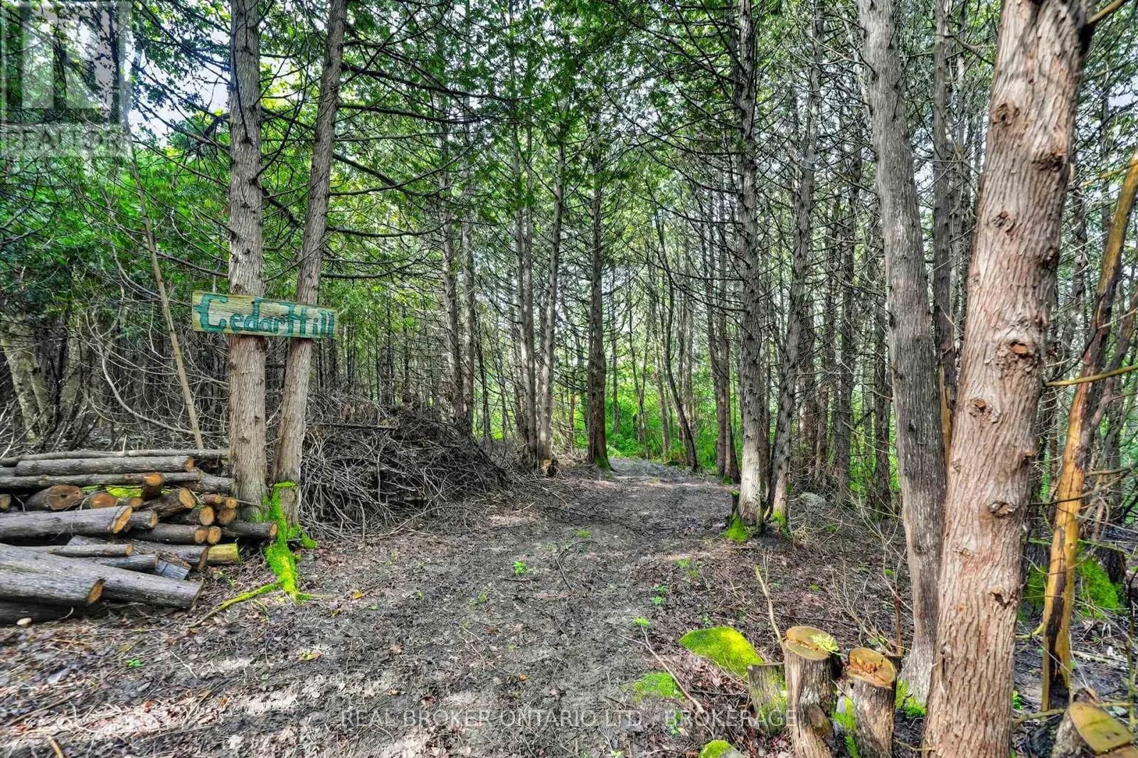 18523 KENYON CONC RD 1 ROAD