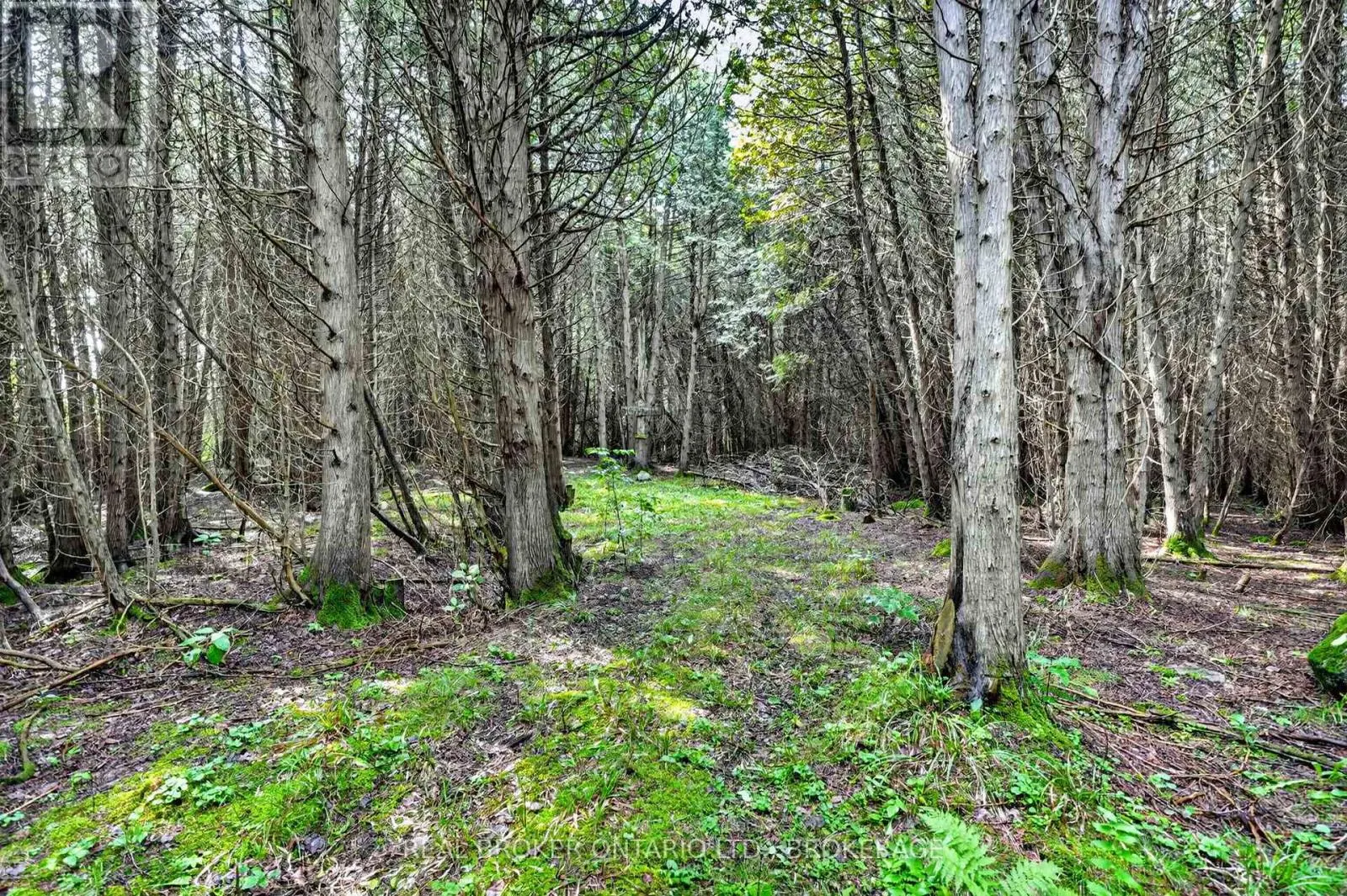 18523 KENYON CONC RD 1 ROAD