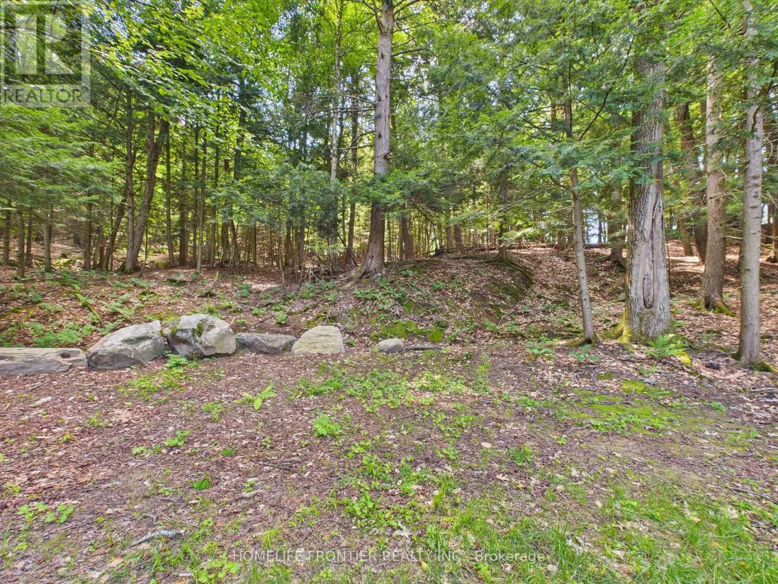 1550 MARY LAKE ROAD