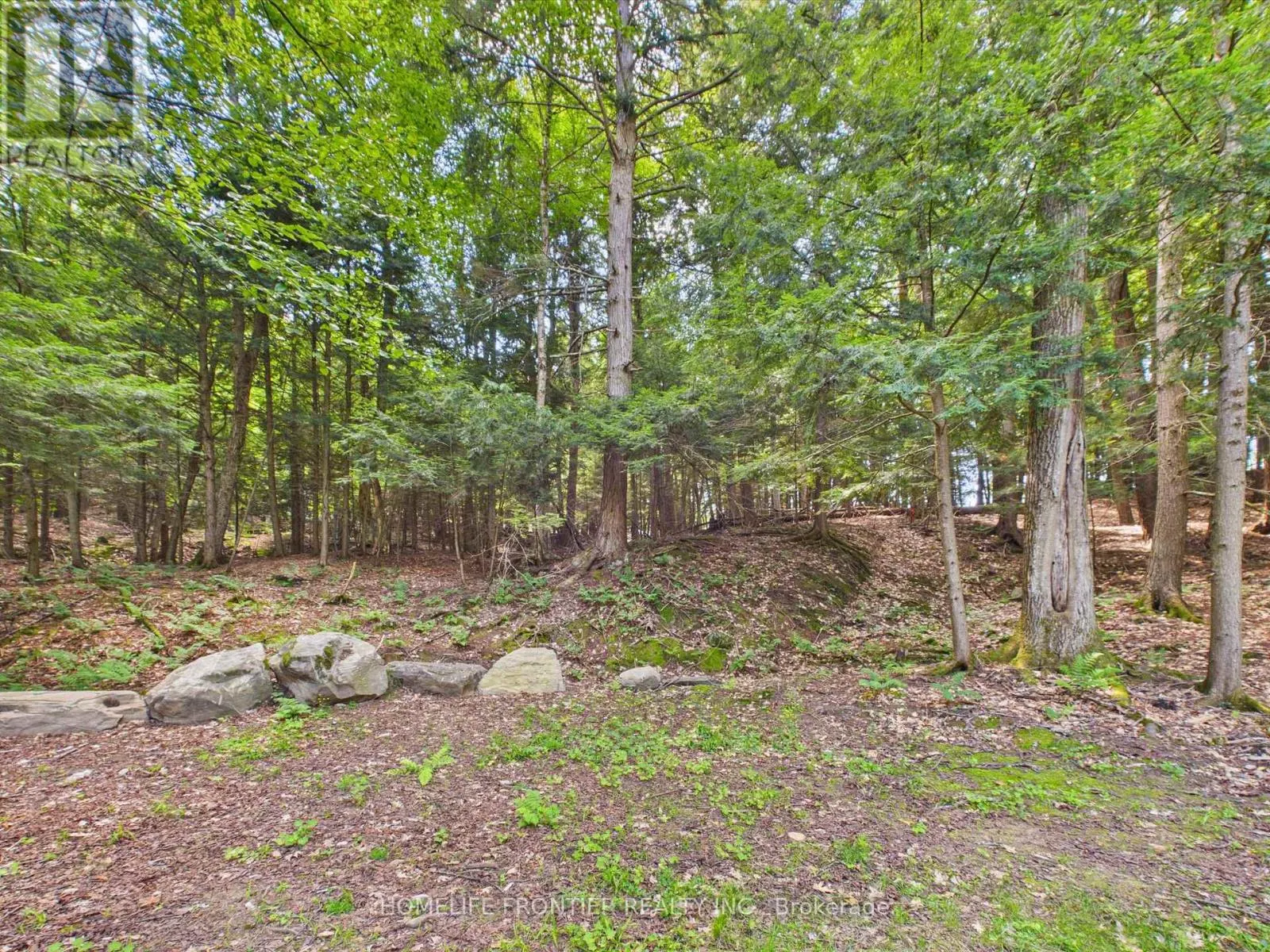 1550 MARY LAKE ROAD