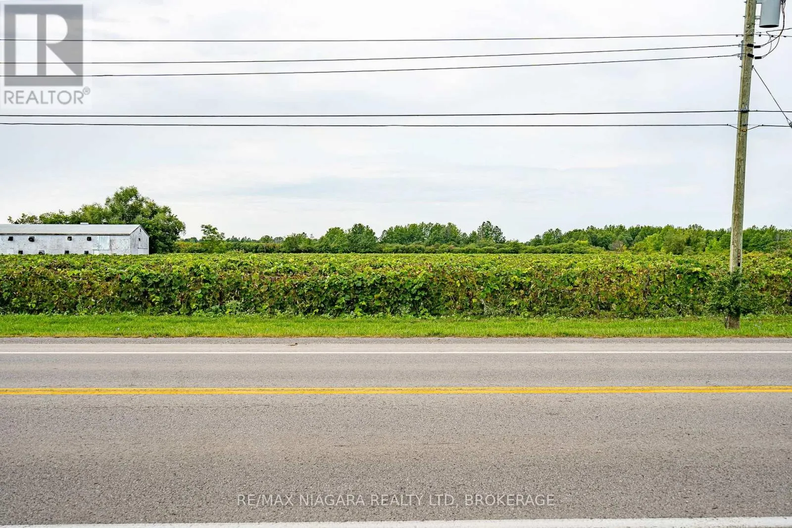 487 FOUR MILE CREEK ROAD