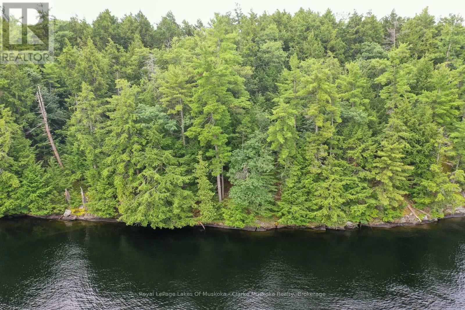 0 MUSKOKA LAKE