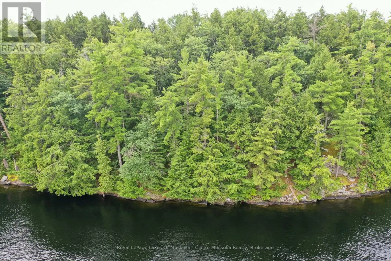 0 MUSKOKA LAKE