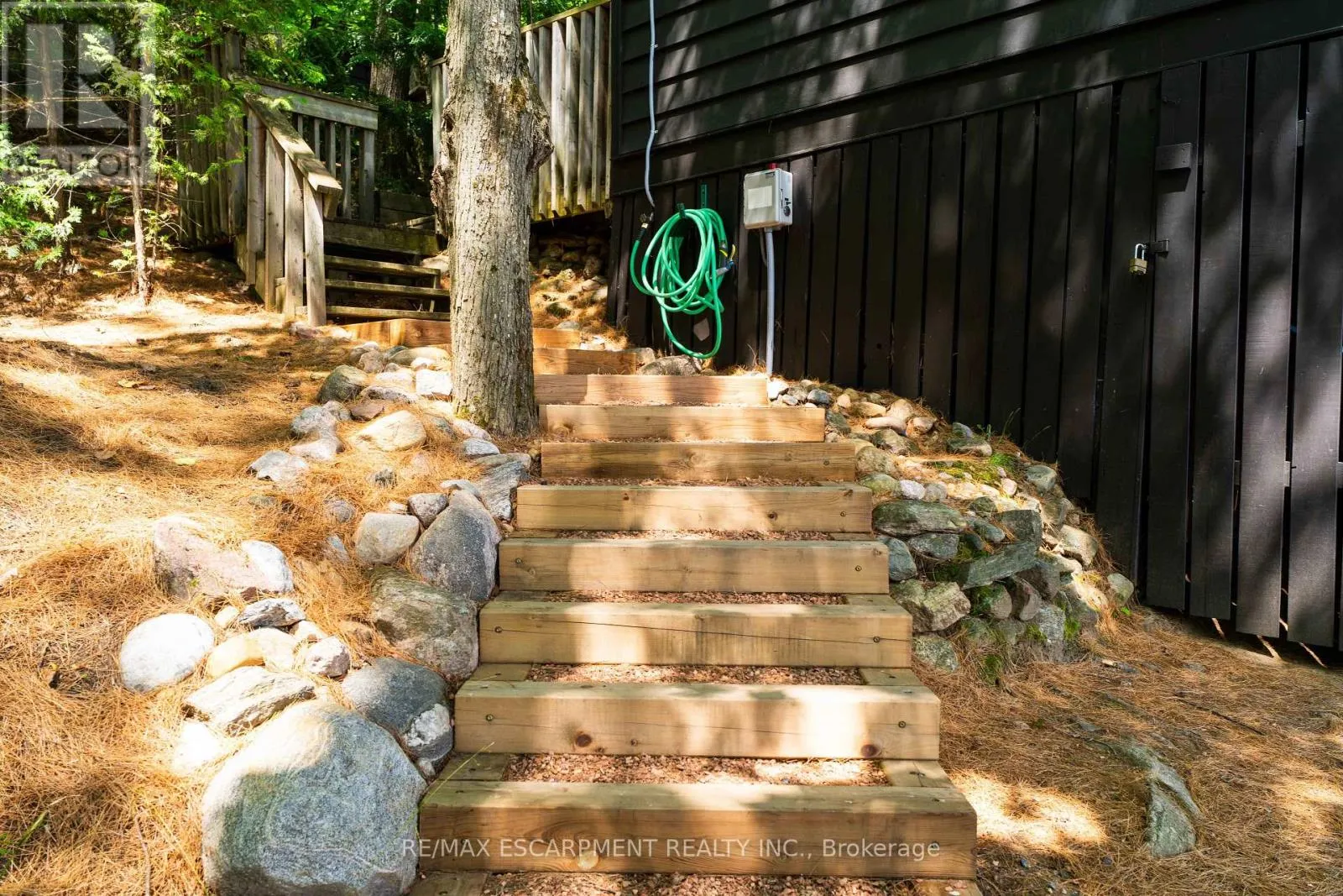 1009 FOGO STREET