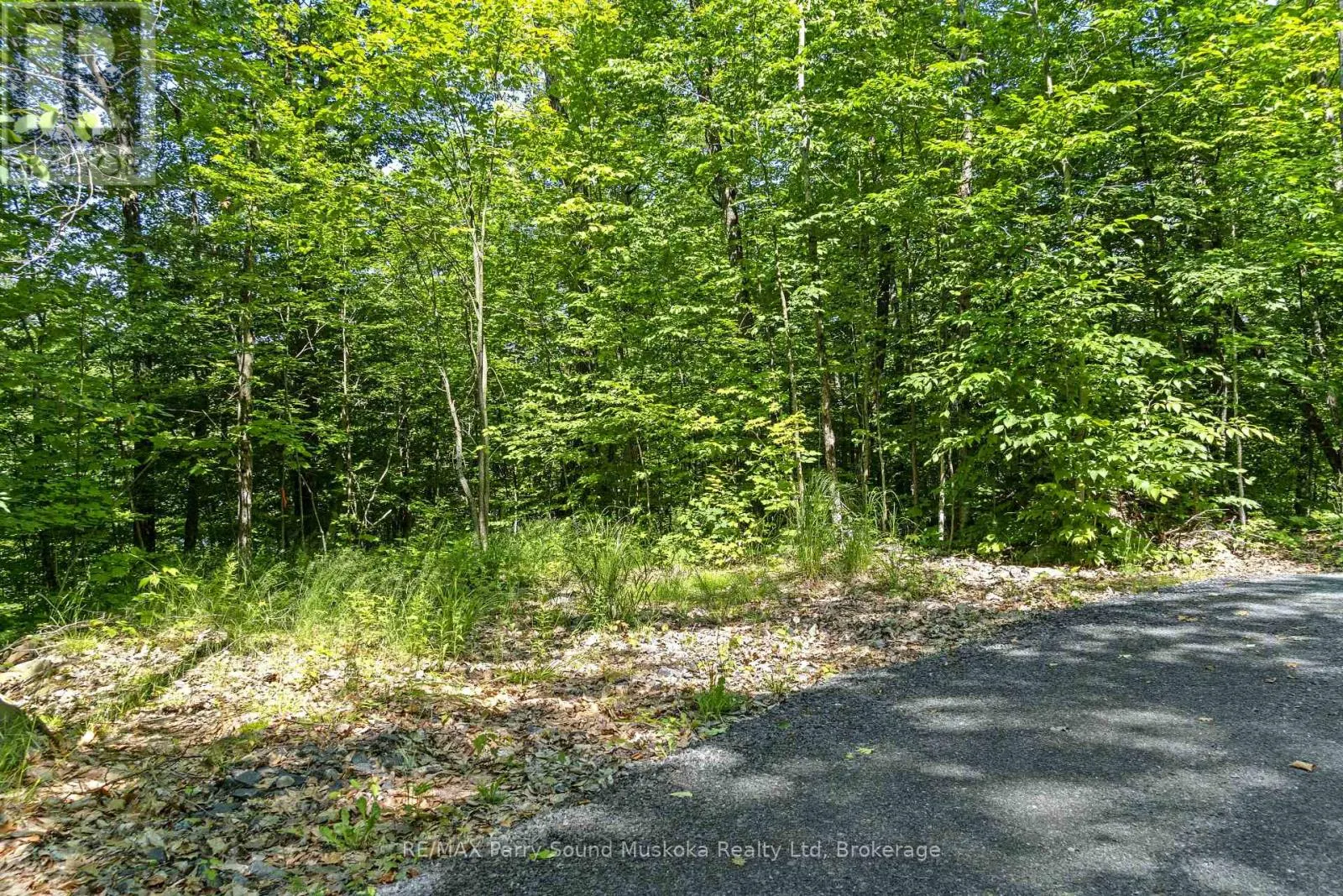 38 FUN COTTAGE LANE