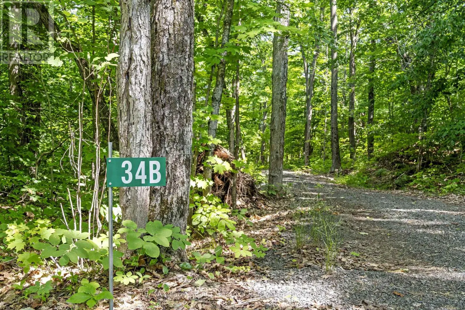 38 FUN COTTAGE LANE