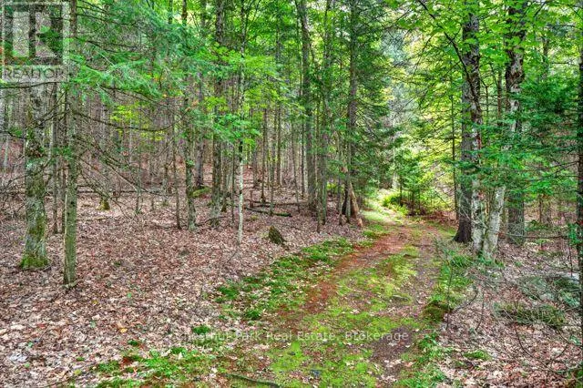 1039 SOUTH WASEOSA LAKE ROAD