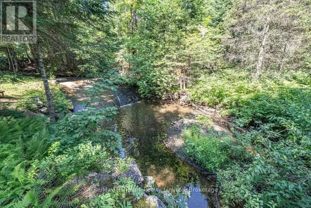 199 BONNELL ROAD
