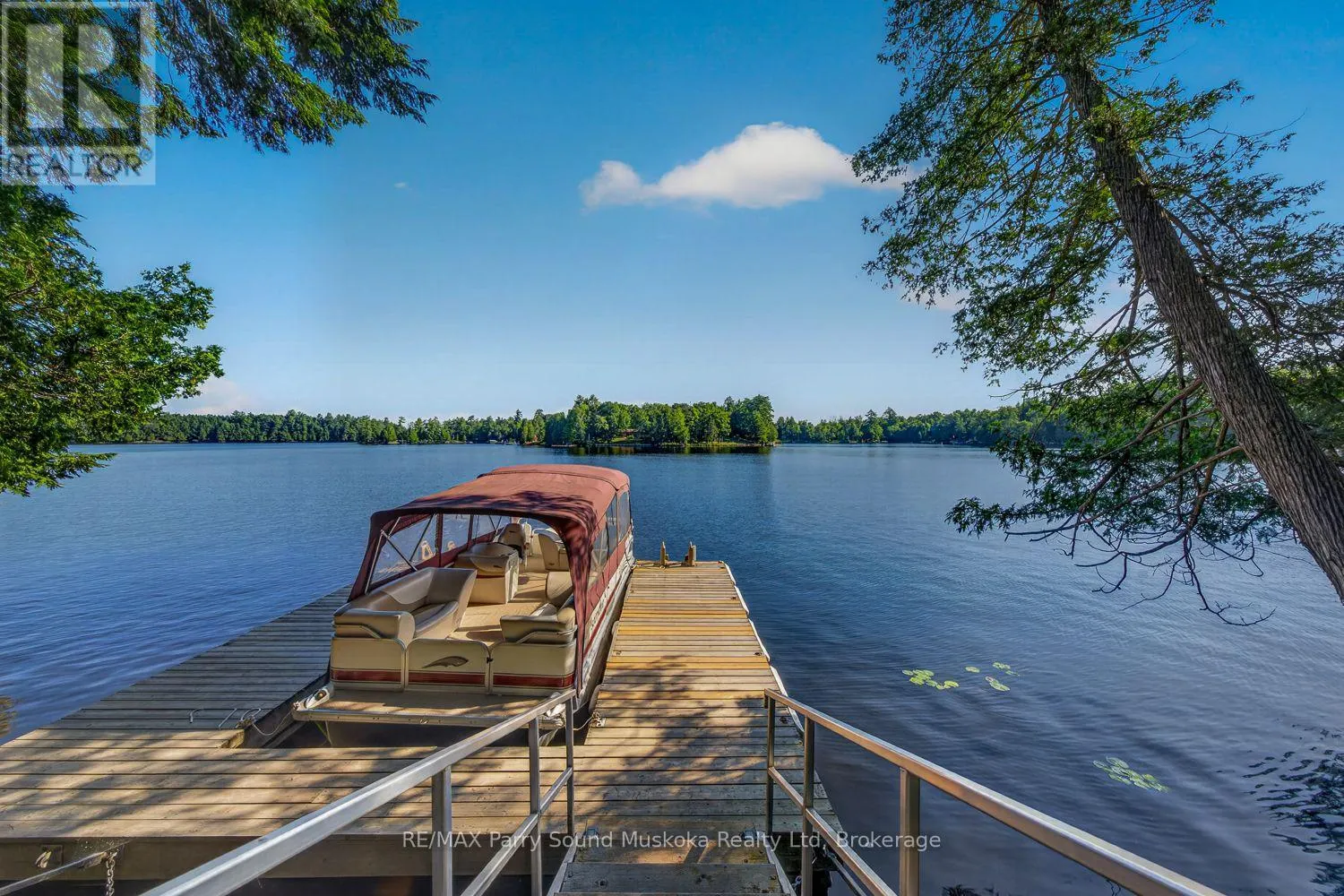 12 SILVER BIRCH CIRCLE
