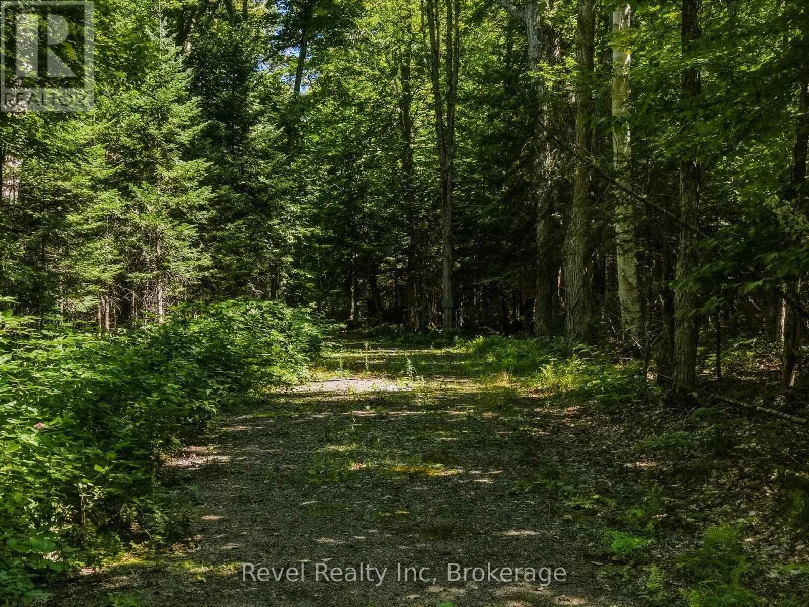 1054 BIRD LAKE ROAD