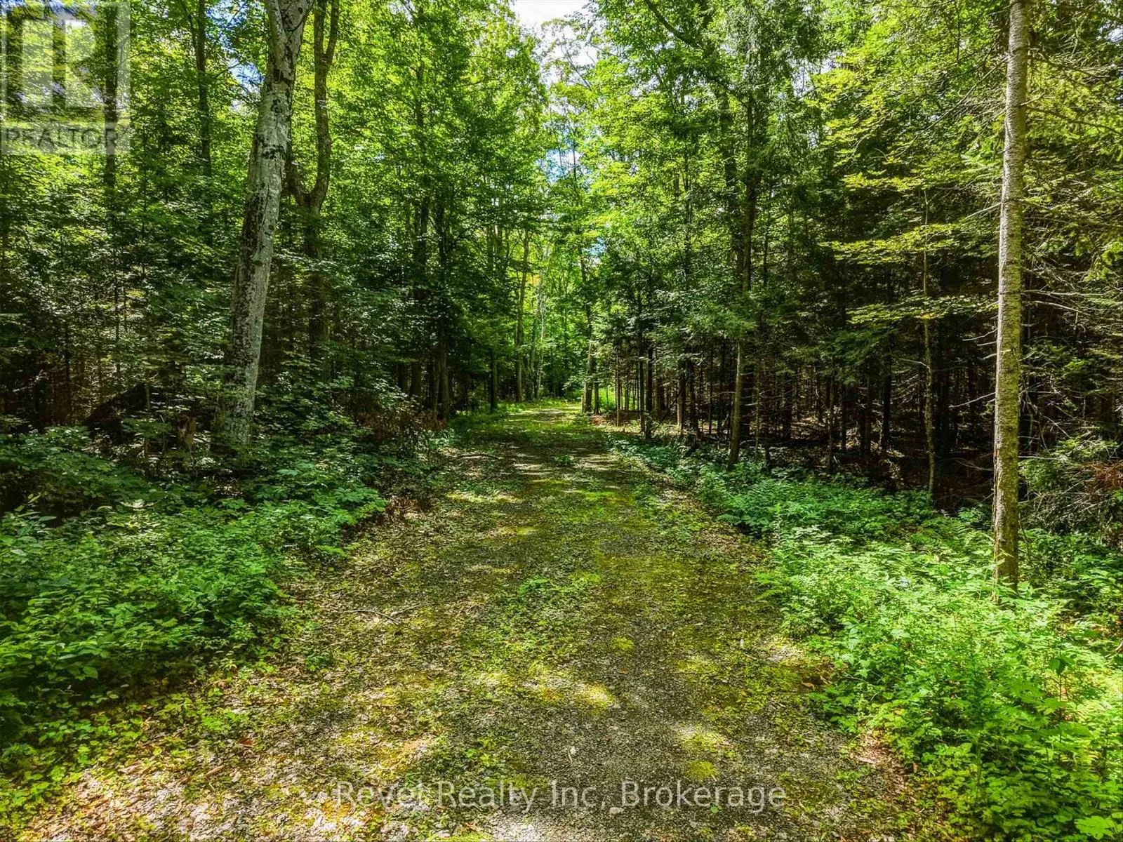 1054 BIRD LAKE ROAD